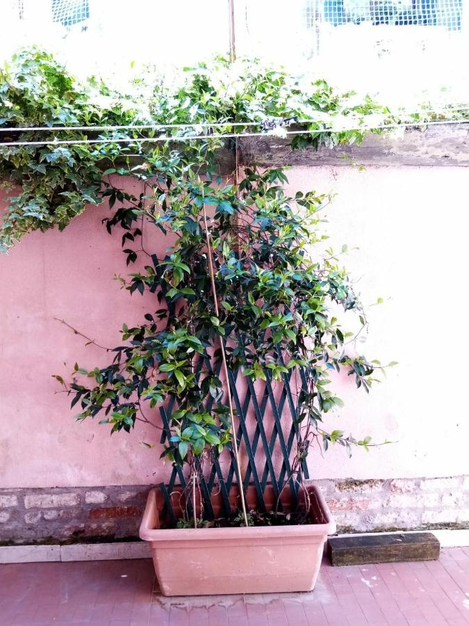Biennale Flat * Venedig